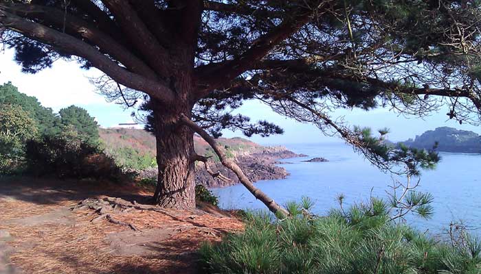 bretagne12_003.jpg