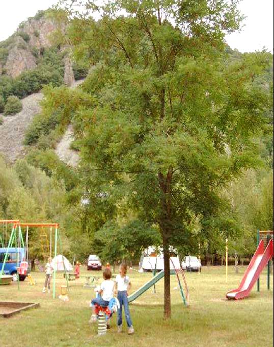 Camping de l'Ecureuil