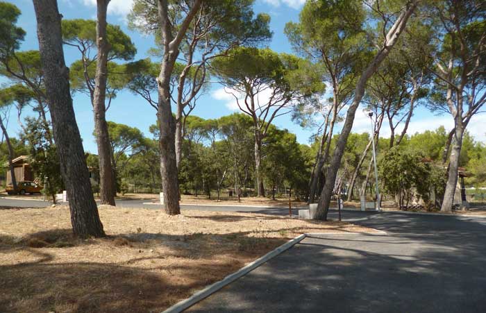 La Pinède d'Hélios