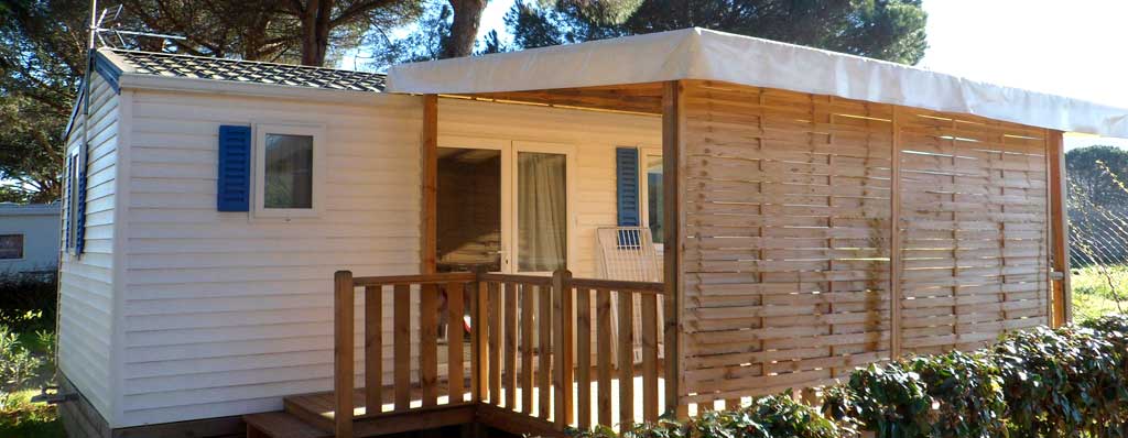 Les Pins Le Congo