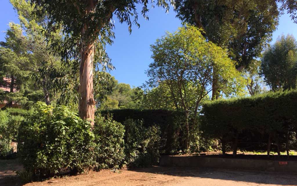 Le Ranch